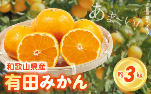 ZN6012_こだわりの和歌山県産 有田みかん 3kg ひとつひとつ手