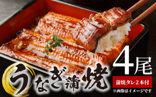 BC6007_うなぎ蒲焼 4尾 & 蒲焼タレ 2本 セット 国産 安全 ふっ