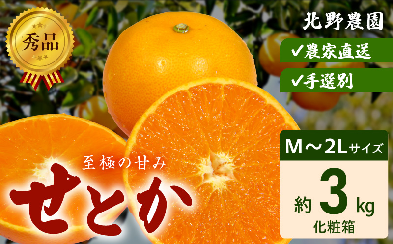 DZ6206_秀品　せとか 和歌山　有田 化粧箱 M～2Lサイズ 大きさ