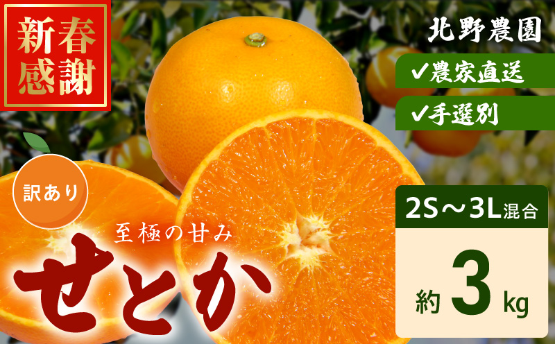 DZ6208_【2026年先行予約】訳あり せとか 和歌山 有田 2S～3Lサ