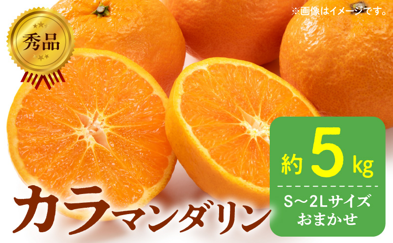 DZ6212_【2026年先行予約】秀品 カラマンダリン なつみ 和歌山