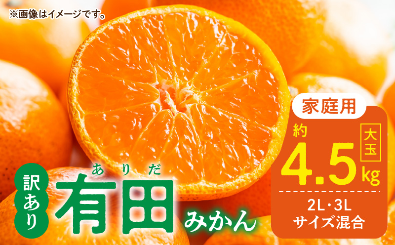 DZ6218_【2026年先行予約】ご家庭用 有田みかん 和歌山 大玉(2L