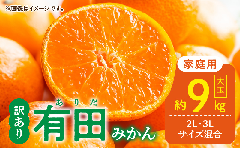 DZ6217_ご家庭用　有田みかん 大玉(2L,3Lサイズ混合) 約9kg