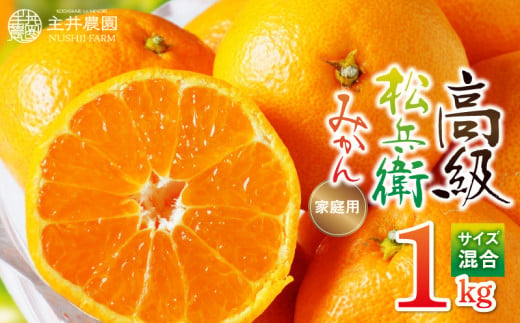 ZS6146_主井農園 高級 松兵衛みかん ご家庭用 1kg お試し (サイ