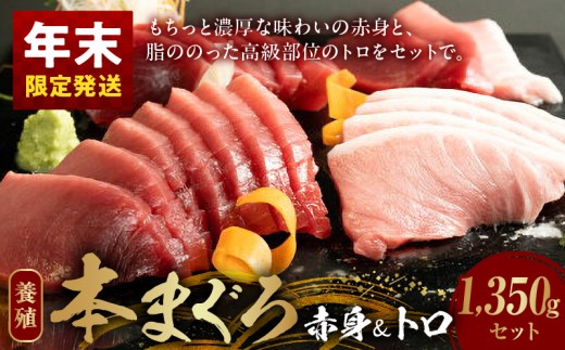 AZ6020_nm_【年末限定発送】本マグロ (養殖) 赤身＆トロ セッ