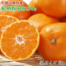 ZD6395_【2026年先行予約】【秀品】 和歌山 有田みかん 6kg（3L