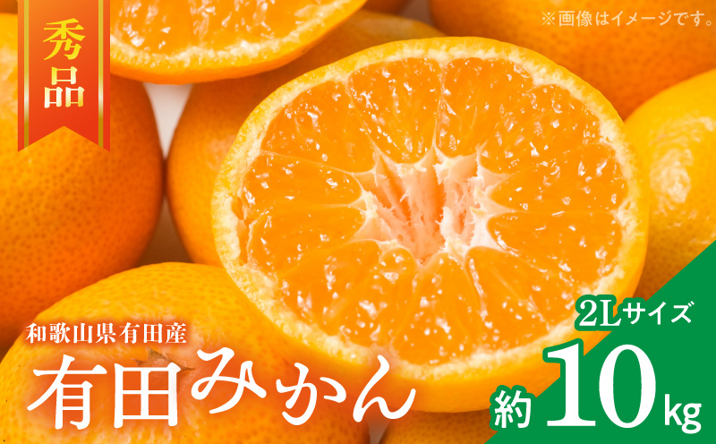 ZD7016_【2026年先行予約】【秀品】 和歌山 有田みかん 10kg (2L