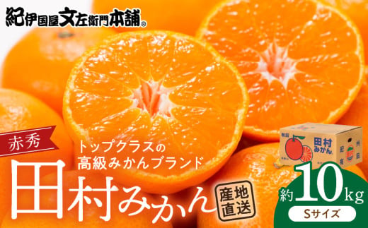 V7444_田村みかん／特選ギフト品10kg【Sサイズ】赤秀 / 紀州和