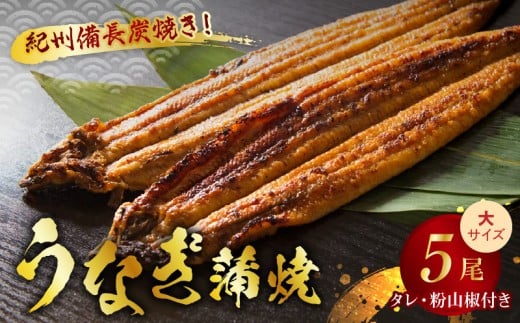 V7304_炭焼き うなぎ 蒲焼 大サイズ 5尾 セット（約150～199g×5