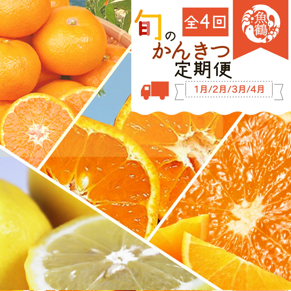 G60-T48_【定期便 全4回】紀州和歌山産旬の柑橘セット（みか