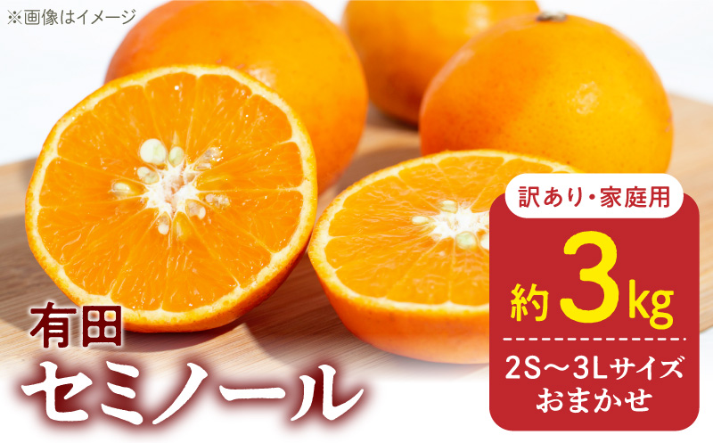 DZ6224_【2026年先行予約】訳あり 家庭用 きよみ 清美オレンジ