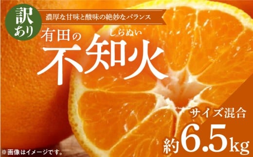 ZD6384n_【2026年先行予約】【濃厚】有田の不知火 (デコポン) 