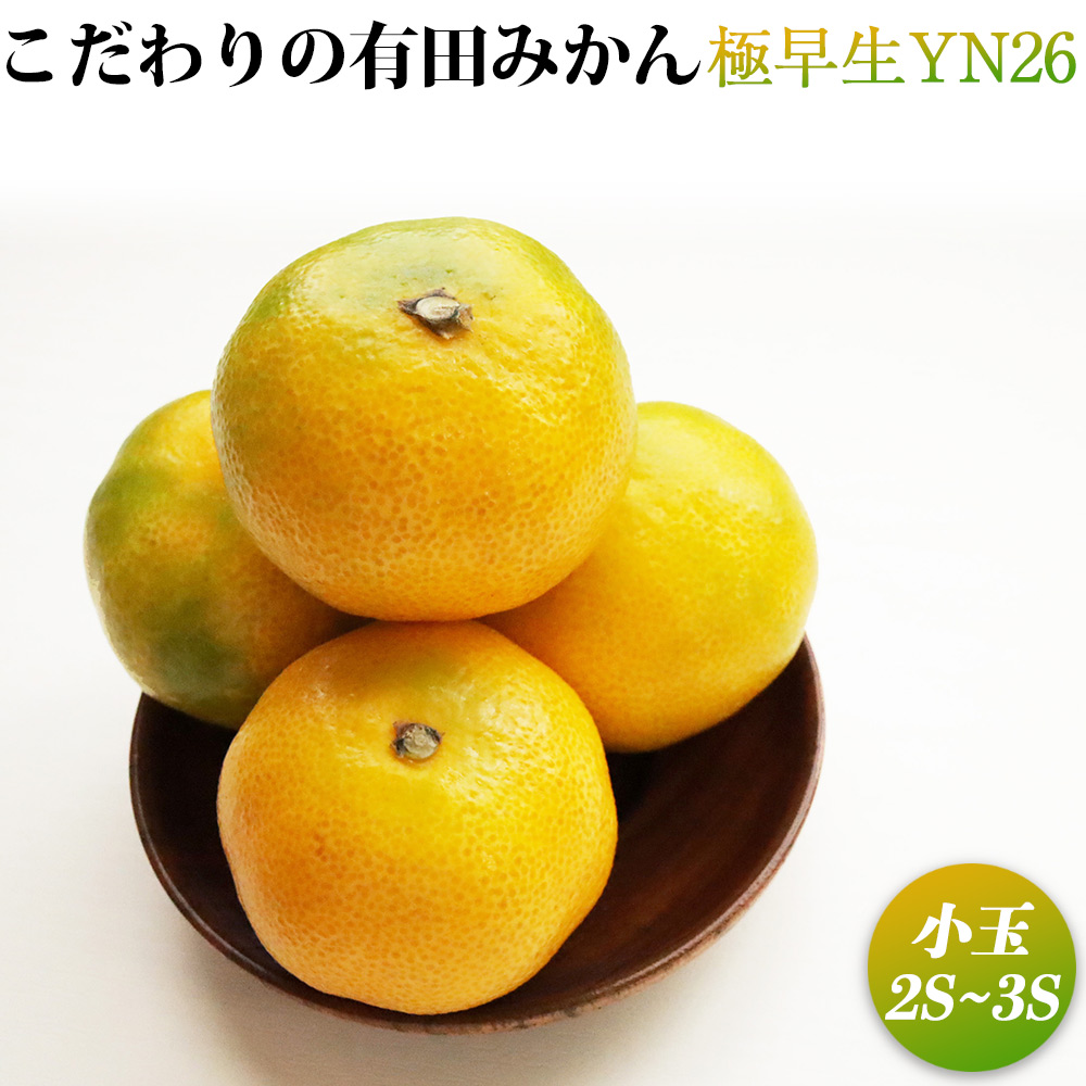 ZT6225n_こだわりの有田みかん 極早生 YN26 2kg 小玉2S～3S 【訳