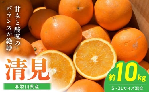 BL6105n_【2026年先行予約】和歌山県産 清見 10kgサイズ混合