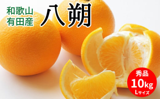 U6301_【2026年先行予約】八朔 秀品 約10kg Lサイズ 和歌山県有