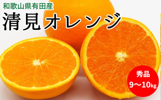 U6303_【2026年先行予約】清見オレンジ 秀品 約9～10kg 和歌山