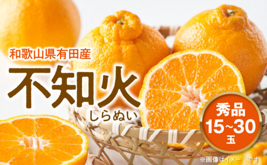 U6306_【2026年先行予約】不知火 しらぬい(デコポンと同品種) 