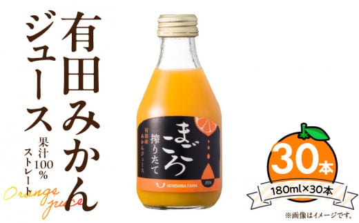 ZE6465_有田みかんジュース100％ 180ml×30本