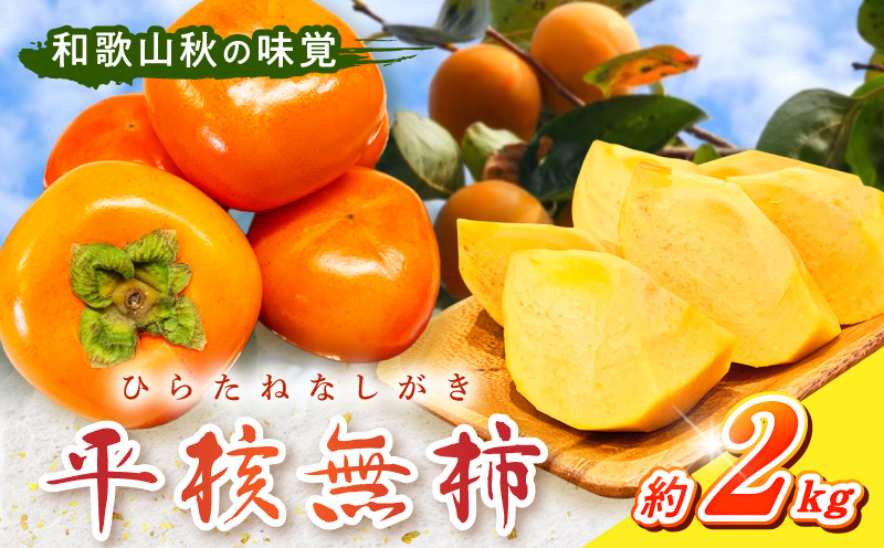 G7109_【2026年 先行予約】和歌山秋の味覚 平核無柿（ひらた