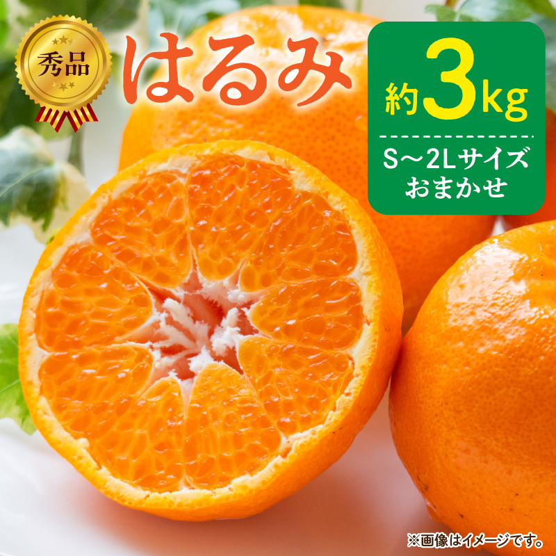 DZ6109_【2026年先行予約】秀品 はるみ 和歌山 有田 S～2Lサイ