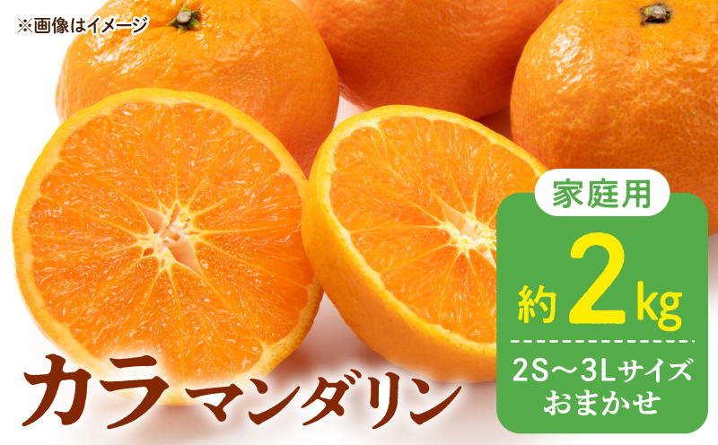 DZ6223_【2026年先行予約】訳あり 家庭用 カラマンダリン なつ