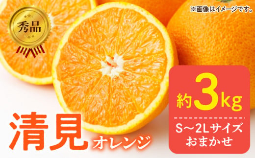 DZ6103_【ふるさと納税】【2026年先行予約】秀品 きよみ 清見