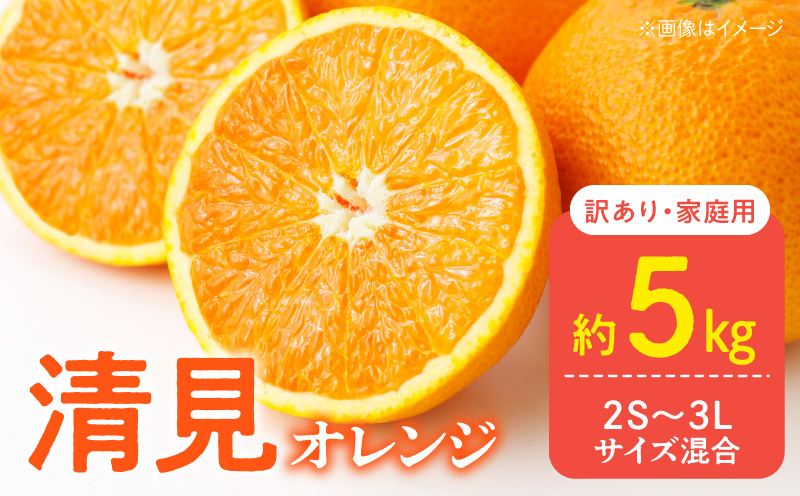 DZ6106_訳あり 家庭用 きよみ 清美オレンジ 和歌山 有田 2S～3L