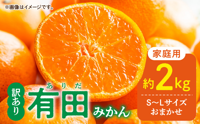 DZ6100_【2026年先行予約】ご家庭用 有田みかん 和歌山 S～Lサ