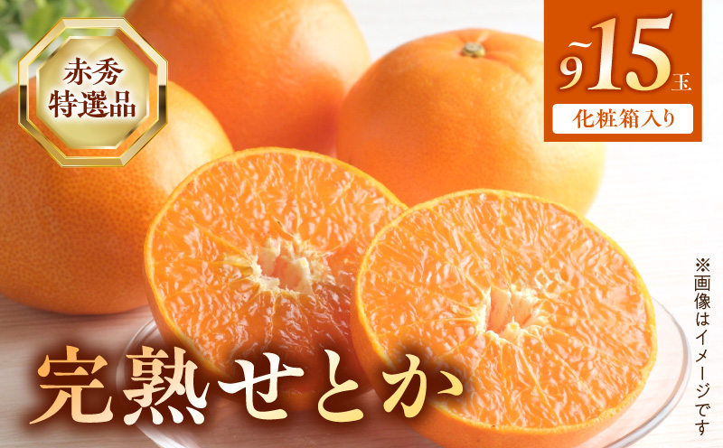 BF6048n_（2026年先行受付）完熟 せとか 赤秀 特選品 9～15玉 化