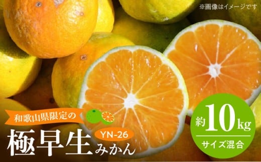 EA6041_【2026年先行予約】和歌山県限定の極早生みかん 10kg (YN