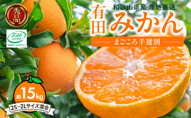 ZE6446_【2026年先行予約】【まごころ手選別】和歌山県産 有