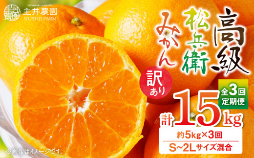ZS69006_松兵衛みかんご家庭用定期便【3回定期便】