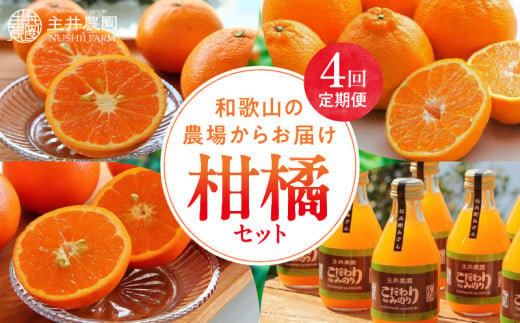 ZS69007_柑橘定期便【4回定期便】樹