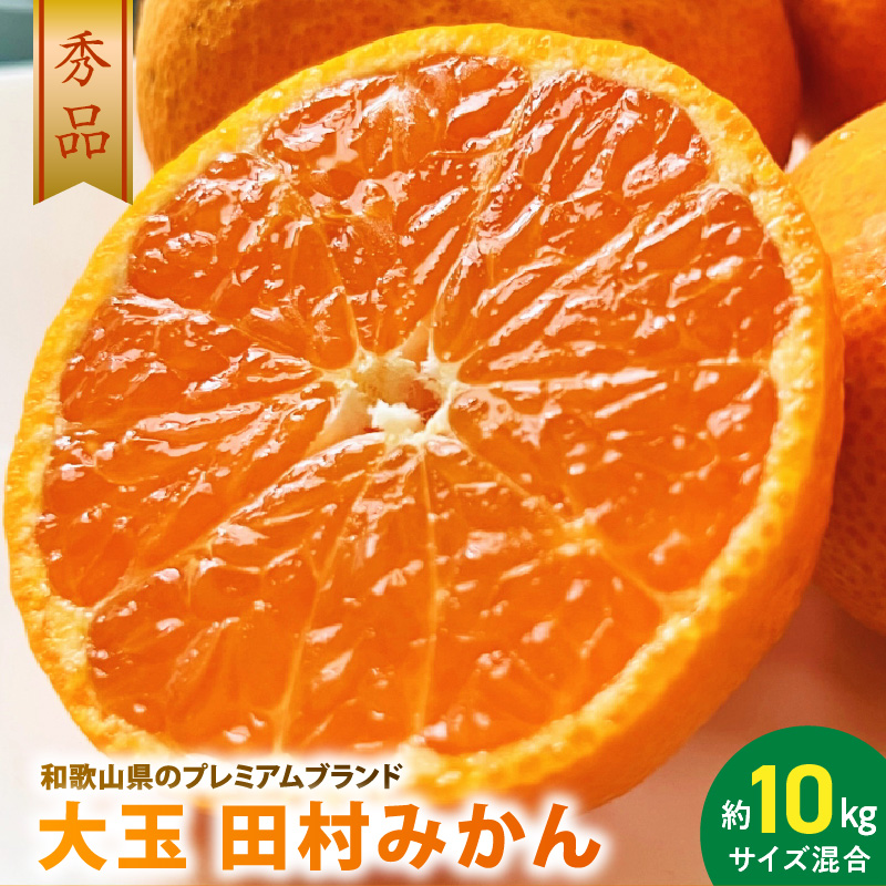 AB7302_ 大玉田村みかん 2L・3Lサイズ 秀品 約10kg _ 和歌山プレ