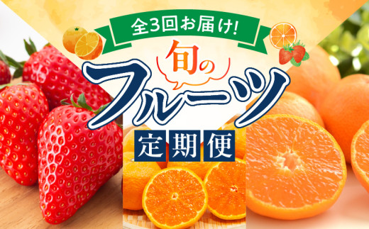 G60-T76_【定期便 全3回】紀州和歌山産旬のフルーツ定期便（