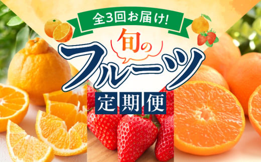 G60-T77_【定期便 全3回】紀州和歌山産旬のフルーツ定期便（
