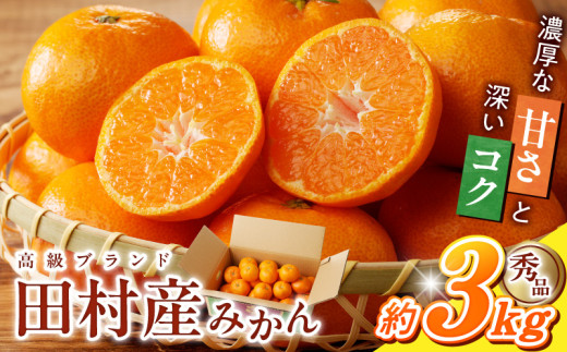 G7339_【2026年11月下旬頃より発送】高級ブランド 秀品 紀州有