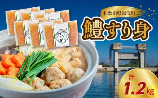 SD1003_鱧すり身 200g × 6個 高級魚 鱧 漁港直送 その日に加工 