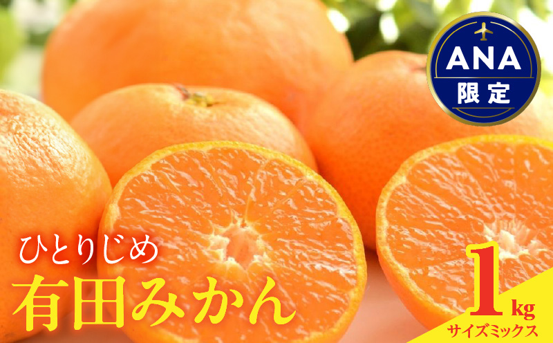 MK1008_【ANA限定】 みかん 食べ比べ お任せ3サイズ 箱込 3kg ( 