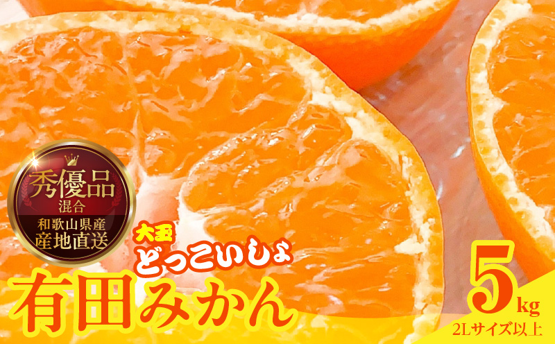 MK1033_みかん 大玉 どっこいしょ 箱込 5kg ( 内容量 4.4kg ) 2Lサ