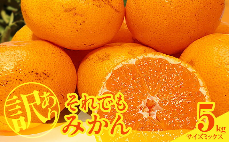 MK1035_訳あり それでも みかん 箱込 5kg ( 内容量 4.4kg ) サイズ