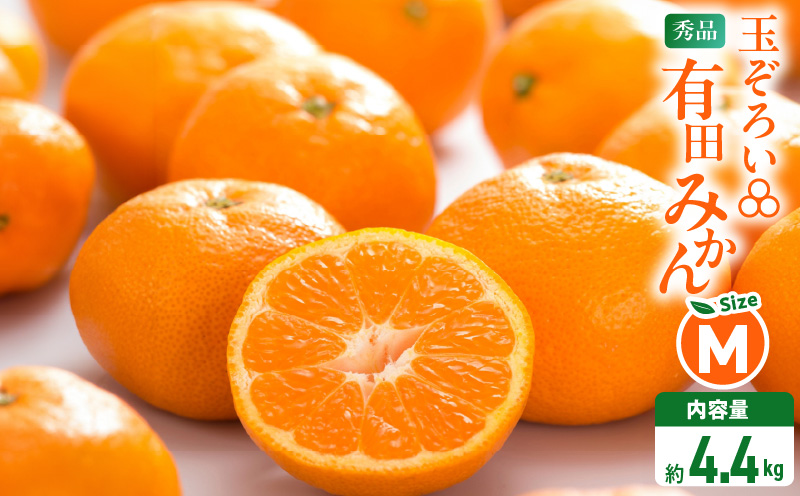 MK1044_みかん Ｍサイズ 秀品 箱込 5kg ( 内容量 4.4kg ) 有田みか