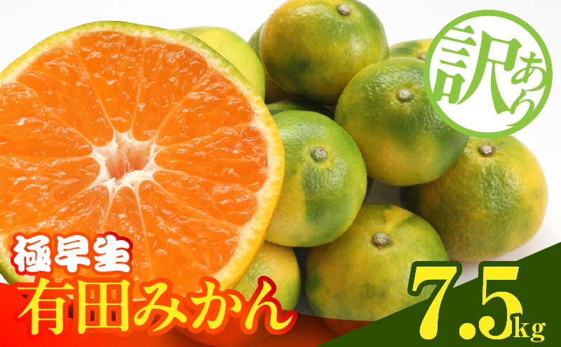 MK1083_訳あり みかん 極早生 箱込 7.5kg ( 内容量 6.8kg ) サイズ