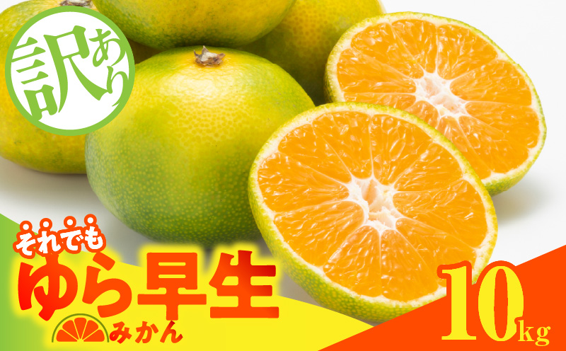 MK1066_【2026先行予約】訳あり ゆら早生 みかん 箱込 10kg ( 内