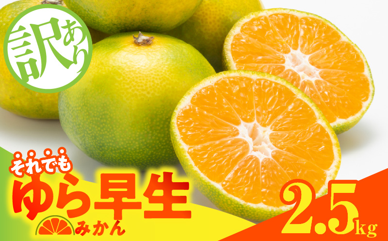MK1069_訳あり ゆら早生 みかん 箱込 2.5kg ( 内容量 2.3kg ) サイ