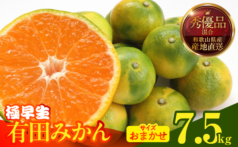MK1071_【2026年先行予約】みかん 極早生 箱込 7.5kg ( 内容量6.8k