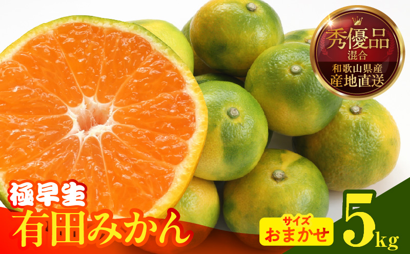 MK1072_みかん 極早生 箱込 5kg ( 内容量4.4kg ) おまかせサイズ