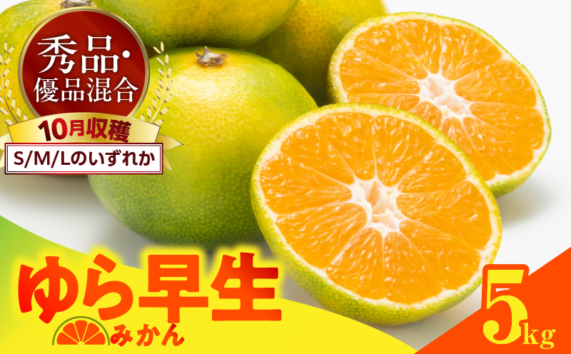 MK1056_【2026先行予約】ゆら早生 みかん 箱込 5kg ( 内容量 4.4kg