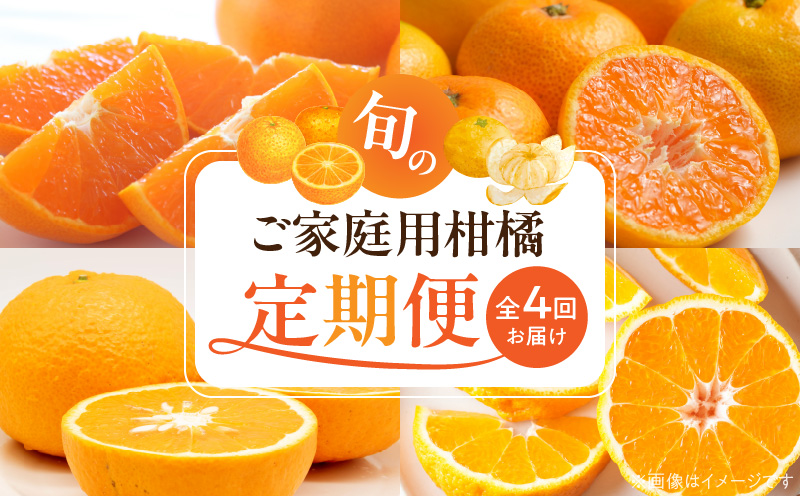 G60-T98_【発送月固定定期便】紀州和歌山産旬のご家庭用柑橘