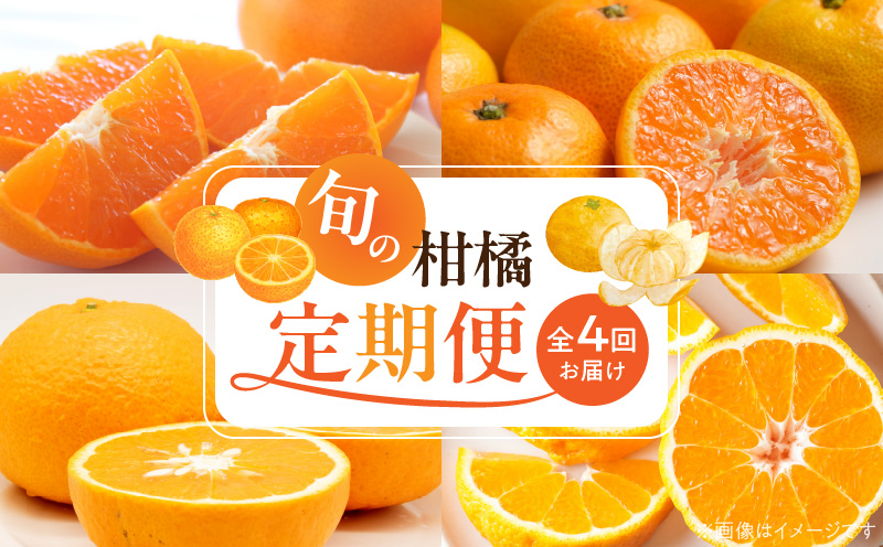 G60-T99_【定期便 全4回】紀州和歌山産旬の柑橘セット(みかん